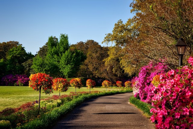 Tips voor het kiezen van de perfecte planten